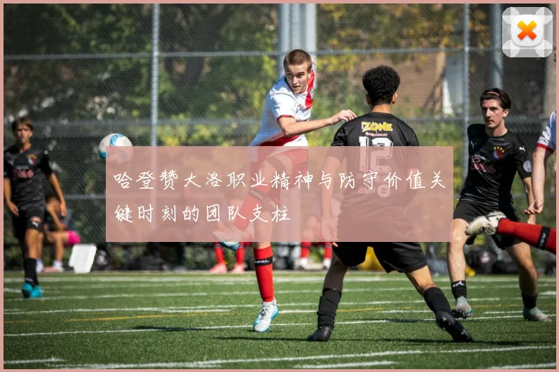 哈登赞大洛职业精神与防守价值关键时刻的团队支柱