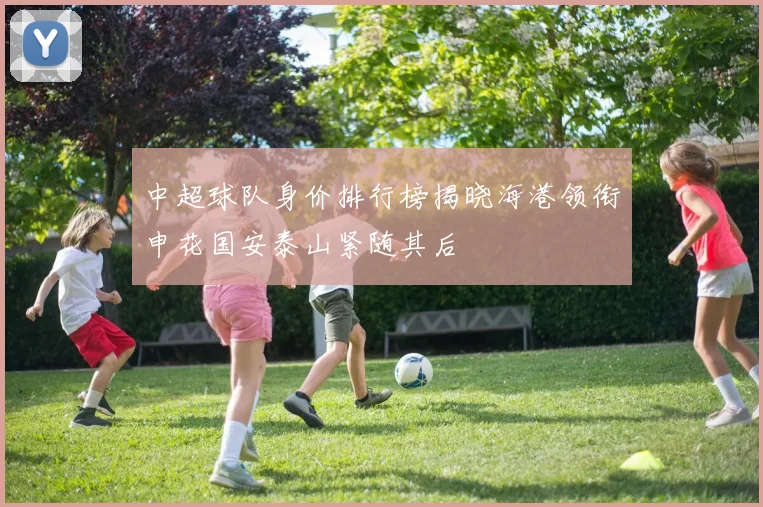 中超球队身价排行榜揭晓海港领衔申花国安泰山紧随其后